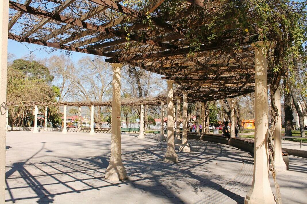 tree, tree trunk, shadow, sunlight, large group of people, lifestyles, branch, group of people, park - man made space, day, outdoors, nature, person, tranquility, park, solitude, tranquil scene