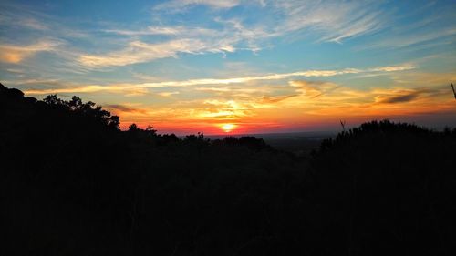 Silhouette trees against sky during sunset