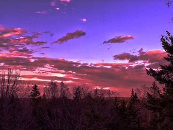 Low angle view of silhouette trees against sky at sunset