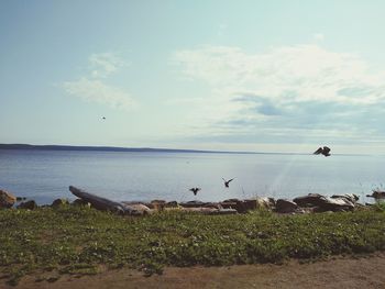 Scenic view of sea against sky