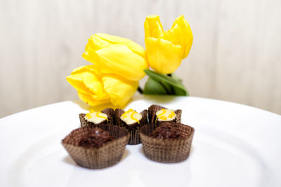 Close-up of yellow flower on table