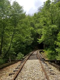 Railroad track amidst trees against sky