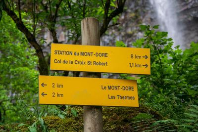 Information sign by trees in forest