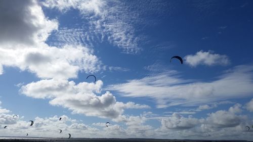 Low angle view of birds flying over sea against sky