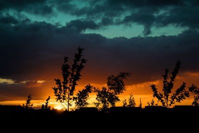 Silhouette palm trees against sky during sunset