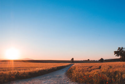 Road amidst field against clear sky during sunset