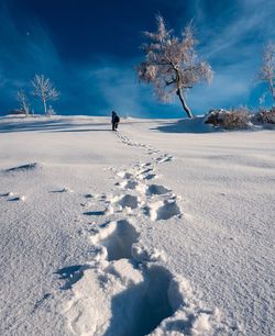 Person on snow covered field against sky