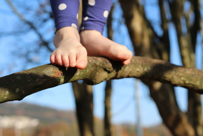 Close-up of hands on tree