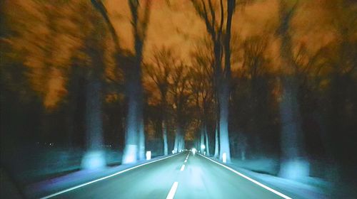 View of country road along trees