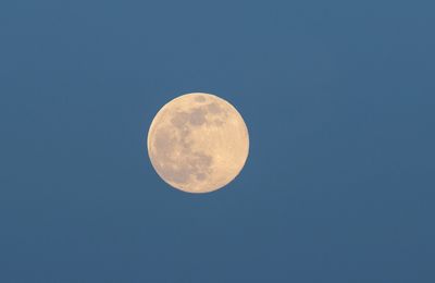 Low angle view of moon against clear sky at night