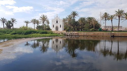 Reflection of palm trees on building against sky