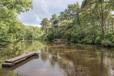 Scenic view of lake in forest against sky