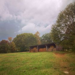 House on grassy field