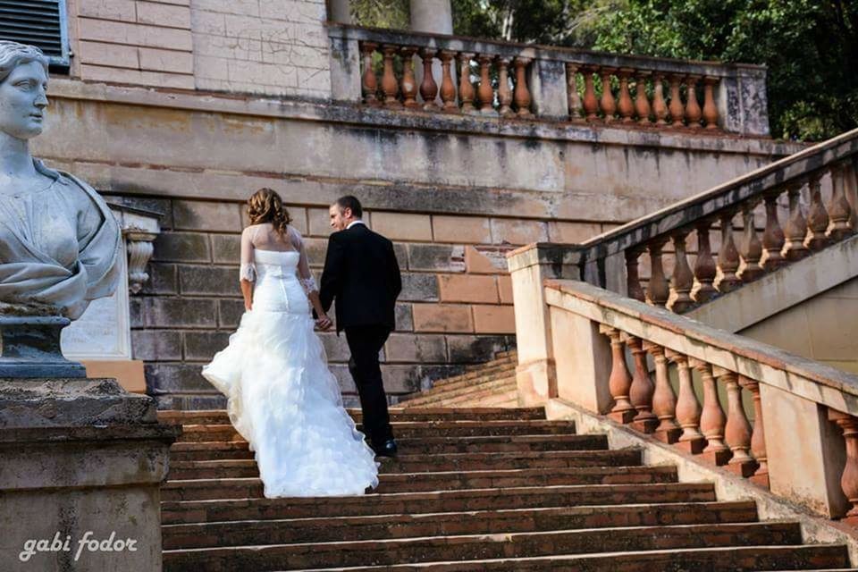 STEPS IN BUILDING