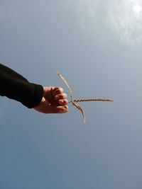 Cropped hand of person holding plant against sky