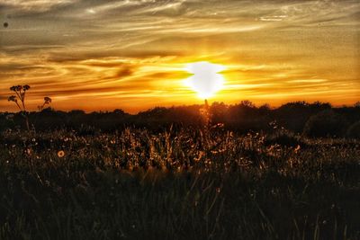 Scenic view of field against sky during sunset