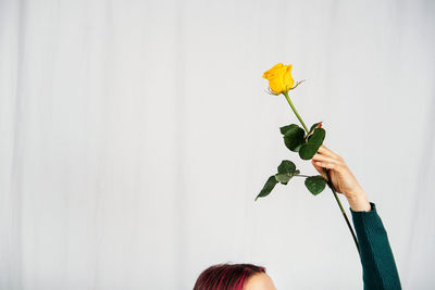 Woman with one yellow rose flower in hand on light background.