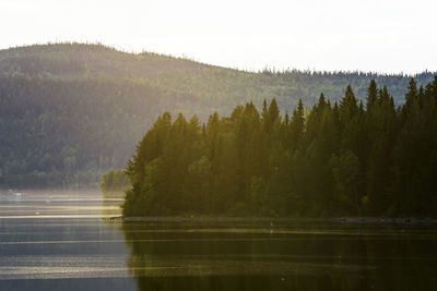 Scenic view of lake in forest against sky