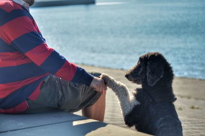 Rear view of person with dog sitting outdoors