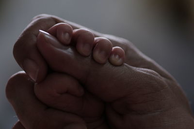 Close-up of person holding baby hands