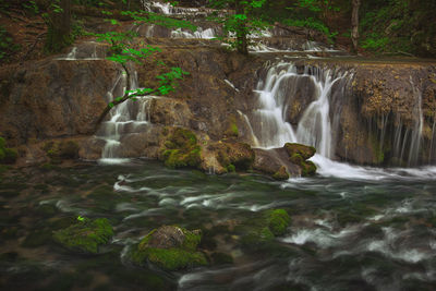 Scenic view of waterfall in forest