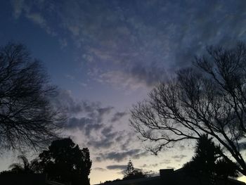 Low angle view of silhouette trees against sky at sunset