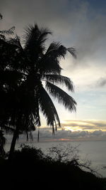 Silhouette palm tree by sea against sky at sunset