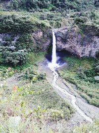 View of waterfall in forest