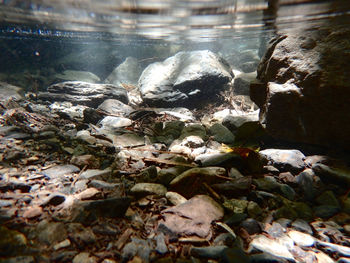 High angle view of rocks in sea