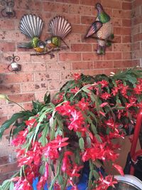 Full frame shot of potted plants against wall