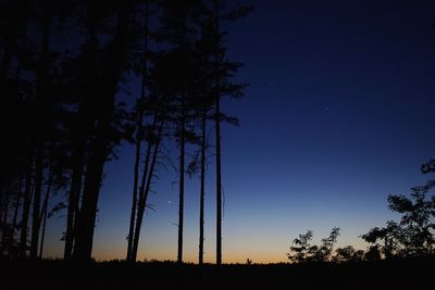 Low angle view of silhouette trees on field against sky at sunset