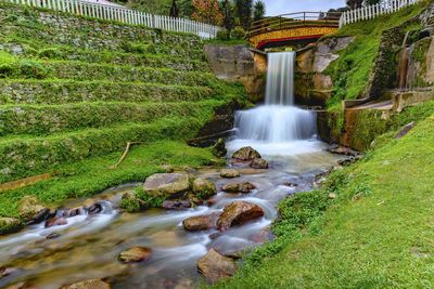 Scenic view of waterfall in forest