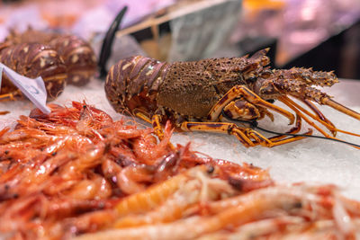 Close-up of food