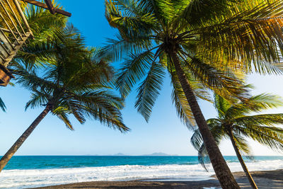 Palm tree by sea against sky