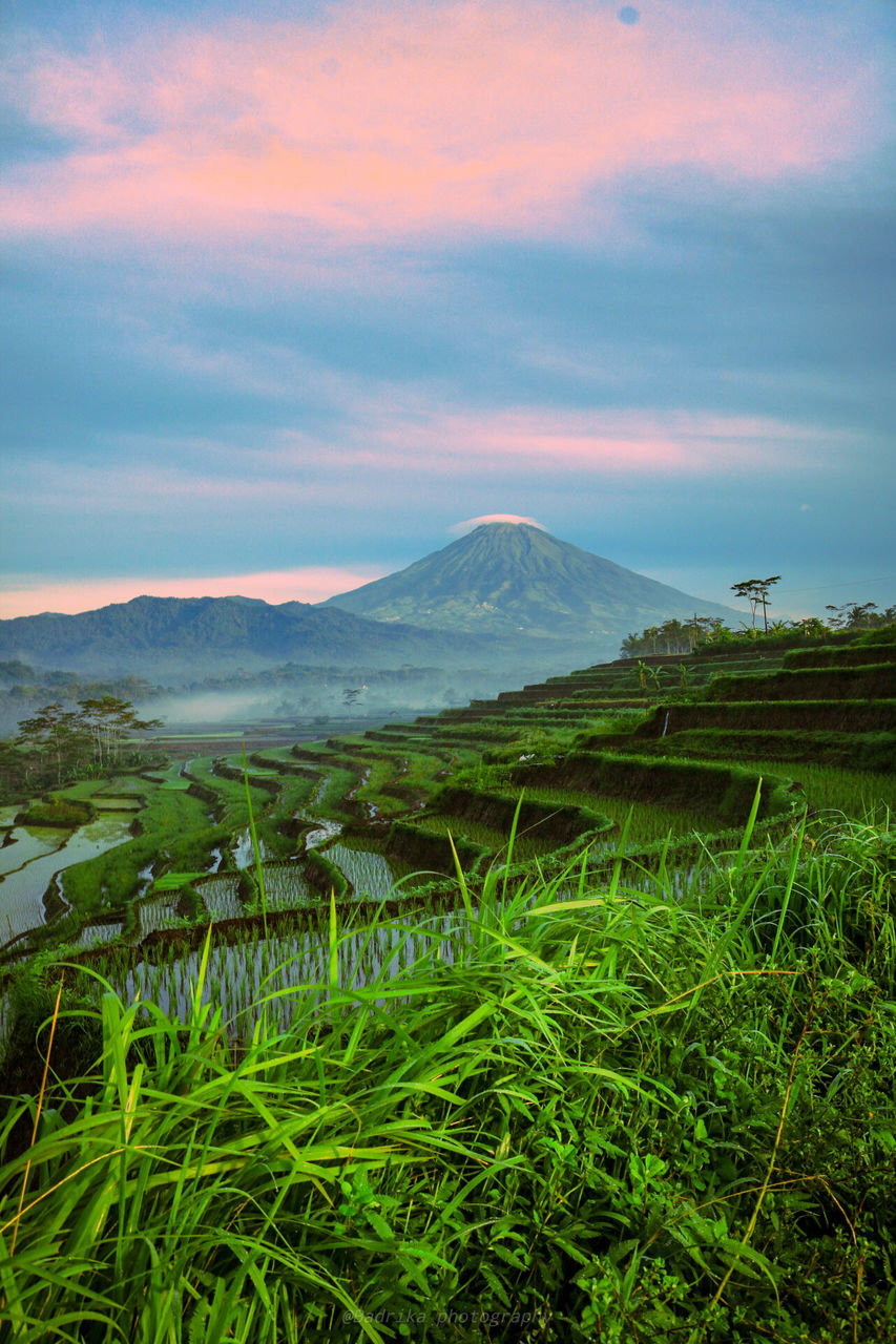 mountain, sky, scenics - nature, beauty in nature, cloud - sky, plant, landscape, tranquil scene, tranquility, environment, nature, no people, green color, volcano, land, non-urban scene, growth, grass, mountain range, idyllic, outdoors, volcanic crater, mountain peak