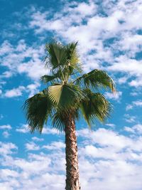 Low angle view of palm tree against sky