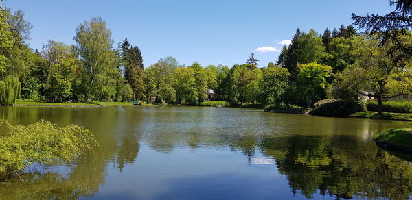 Scenic view of lake by trees against sky