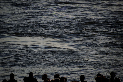 People at beach during sunset