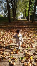 Boy standing amidst trees in forest during autumn