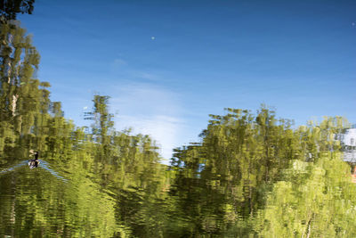Man in forest against sky