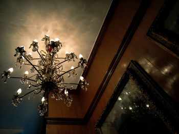 Low angle view of illuminated flowering tree against sky at night