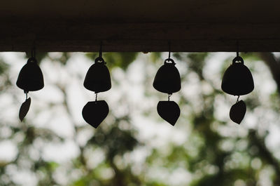 Low angle view of lanterns hanging by building