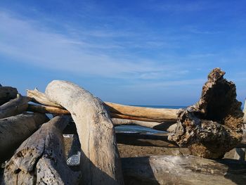 Stack of logs on rock against sky