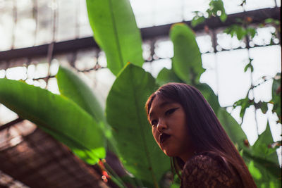 Low angle view of young woman looking away while standing against plants