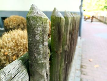 Close-up of barbed wire fence