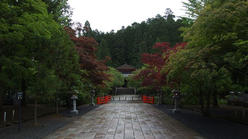 Walkway along trees in park