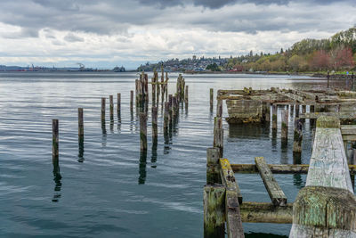 Decaying pilings landscape.