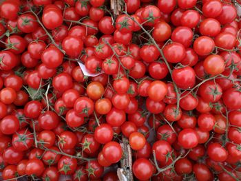 Full frame shot of tomatoes