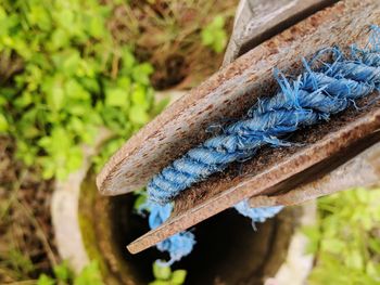 Close up of blue wood