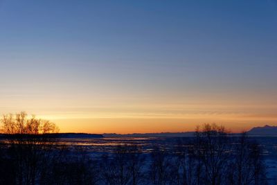 Silhouette of trees during sunset